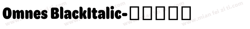 Omnes BlackItalic字体转换